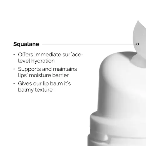 The Ordinary Squalane + Amino Acids Lip Balm 15 mL (0.5 oz) — imagen 4