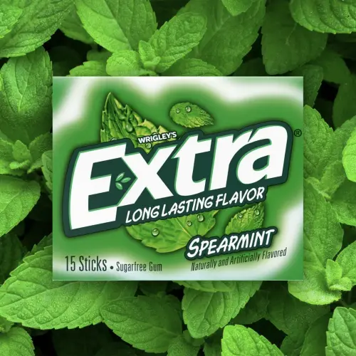 Wrigley’s Extra Long Lasting Flavor Sugarfree Chewing Gum Spearmint 15 Pcs's photo #5