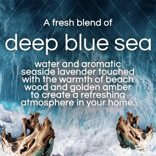 Air Wick Vibrant Scented Oil 2x Refills Deep Blue Sea & Beach Wood 40 mL (1.34 oz)'s photo #1