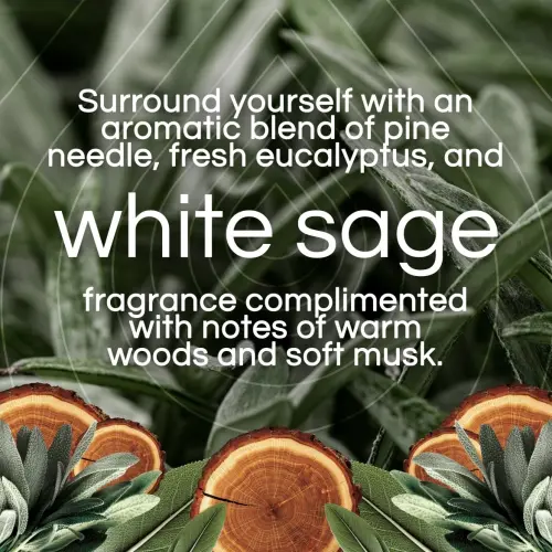 Air Wick Scented Oil Warmer + Vibrant Scented Oil Refill White Sage & Mahogany 20 mL (0.67 oz) — imagen 2
