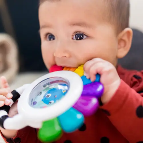 Baby Einstein Outstanding Opus Sensory Rattle & Teether 3m+ (14 cm)'s photo #8