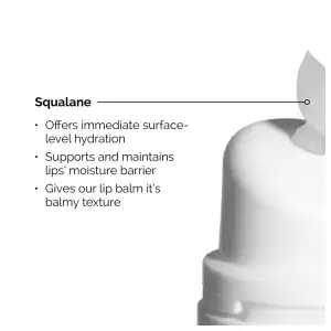 The Ordinary Squalane + Amino Acids Lip Balm 15 mL (0.5 oz) miniatura 4