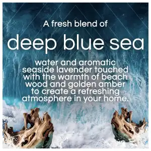 Air Wick Vibrant Scented Oil 2x Refills Deep Blue Sea & Beach Wood 40 mL (1.34 oz) miniatura 2