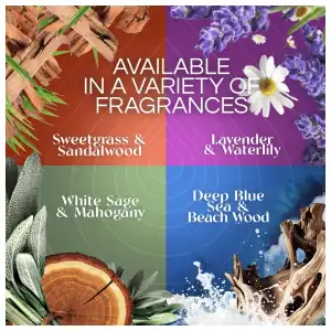 Air Wick Scented Oil Warmer + Vibrant Scented Oil Refill White Sage & Mahogany 20 mL (0.67 oz) miniatura 8