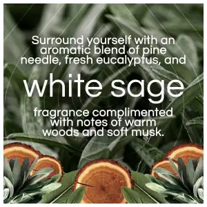 Air Wick Scented Oil Warmer + Vibrant Scented Oil Refill White Sage & Mahogany 20 mL (0.67 oz) miniatura 2