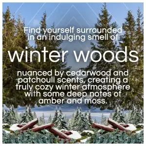 Air Wick Vibrant Scented Oil 2x Refills Winter Woods & Frosted Ivy 40 mL (1.34 oz) miniatura 2